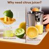 AGARO Regency Electric Citrus Juicer 350W, 650 ml No.34289